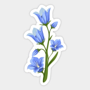 Balloon Flower - Blue Flowers Floral Art - Hand Painted Sticker